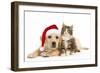 Cat and Dog Labrador Puppy in Christmas Hat And-null-Framed Photographic Print