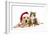 Cat and Dog Labrador Puppy in Christmas Hat And-null-Framed Photographic Print