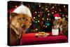 Cat And Dog Taking Over Santa'S Cookies And Milk-websubstance-Stretched Canvas