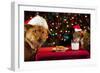 Cat And Dog Taking Over Santa'S Cookies And Milk-websubstance-Framed Photographic Print