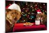 Cat And Dog Taking Over Santa'S Cookies And Milk-websubstance-Mounted Photographic Print