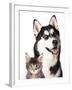 Cat and Dog-Lilun-Framed Photographic Print