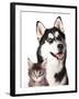 Cat and Dog-Lilun-Framed Photographic Print