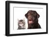 Cat and Dog-Lilun-Framed Photographic Print