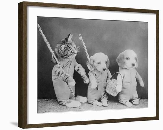 Cat and Dogs, Friends-null-Framed Photographic Print