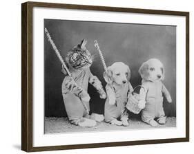 Cat and Dogs, Friends-null-Framed Photographic Print