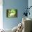 Cat And Family-Art Deco Designs-Stretched Canvas displayed on a wall