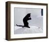 Cat and Flower-Hubert & Klein-Framed Art Print