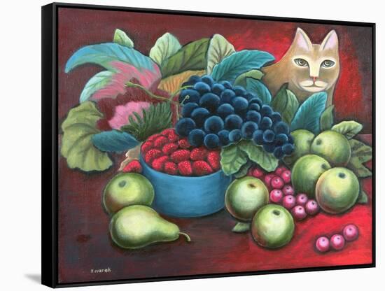 Cat and Fruit-Jerzy Marek-Framed Stretched Canvas