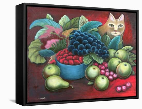 Cat and Fruit-Jerzy Marek-Framed Stretched Canvas