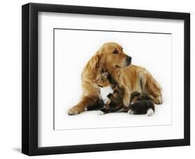 Cat and Golden Retriever-Russell Glenister-Framed Photographic Print