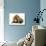 Cat and Golden Retriever-Russell Glenister-Photographic Print displayed on a wall