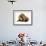 Cat and Golden Retriever-Russell Glenister-Framed Photographic Print displayed on a wall