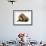 Cat and Golden Retriever-Russell Glenister-Framed Photographic Print displayed on a wall