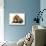 Cat and Golden Retriever-Russell Glenister-Mounted Photographic Print displayed on a wall