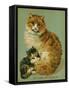 Cat and Her Kitten-null-Framed Stretched Canvas