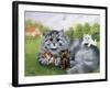 Cat and Her Kittens-Louis Wain-Framed Giclee Print