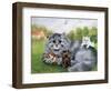 Cat and Her Kittens-Louis Wain-Framed Giclee Print