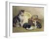 Cat and Kittens, 1889-Walter Frederick Osborne-Framed Giclee Print