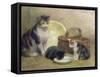 Cat and Kittens, 1889-Walter Frederick Osborne-Framed Stretched Canvas