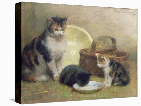 Cat and Kittens, 1889-Walter Frederick Osborne-Stretched Canvas