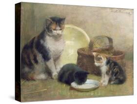 Cat and Kittens, 1889-Walter Frederick Osborne-Stretched Canvas