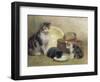 Cat and Kittens, 1889-Walter Frederick Osborne-Framed Giclee Print