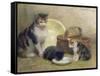 Cat and Kittens, 1889-Walter Frederick Osborne-Framed Stretched Canvas
