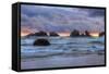 Cat and Kittens at Sunset, Bandon Beach, Oregon Coast-Vincent James-Framed Stretched Canvas