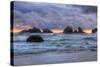 Cat and Kittens at Sunset, Bandon Beach, Oregon Coast-Vincent James-Stretched Canvas