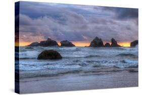 Cat and Kittens at Sunset, Bandon Beach, Oregon Coast-Vincent James-Stretched Canvas