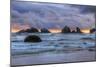 Cat and Kittens at Sunset, Bandon Beach, Oregon Coast-Vincent James-Mounted Photographic Print