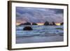 Cat and Kittens at Sunset, Bandon Beach, Oregon Coast-Vincent James-Framed Photographic Print