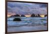 Cat and Kittens at Sunset, Bandon Beach, Oregon Coast-Vincent James-Framed Photographic Print
