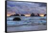 Cat and Kittens at Sunset, Bandon Beach, Oregon Coast-Vincent James-Framed Stretched Canvas