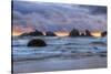 Cat and Kittens at Sunset, Bandon Beach, Oregon Coast-Vincent James-Stretched Canvas