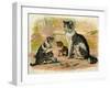 Cat and Kittens with Ball of Wool-null-Framed Art Print