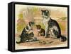 Cat and Kittens with Ball of Wool-null-Framed Stretched Canvas