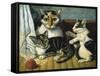 Cat and Kittens-null-Framed Stretched Canvas