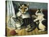 Cat and Kittens-null-Stretched Canvas