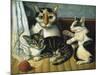 Cat and Kittens-null-Mounted Giclee Print