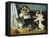 Cat and Kittens-null-Framed Stretched Canvas