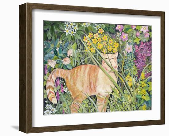 Cat and Long Grass, 1996-Hilary Jones-Framed Giclee Print