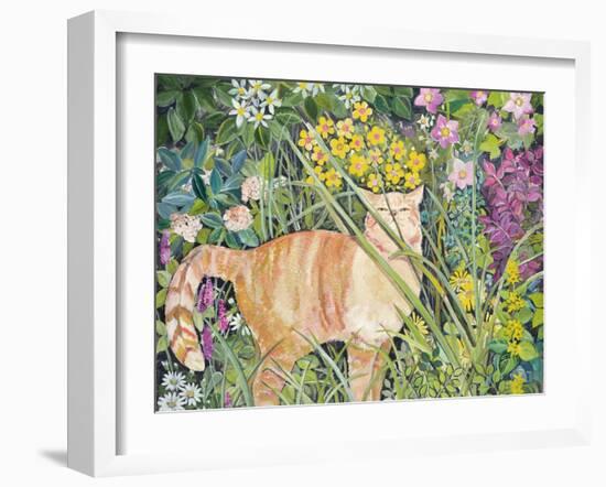 Cat and Long Grass, 1996-Hilary Jones-Framed Giclee Print