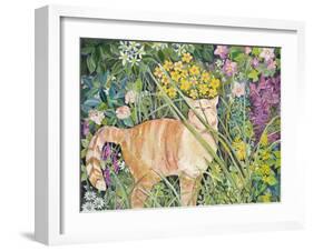 Cat and Long Grass, 1996-Hilary Jones-Framed Giclee Print