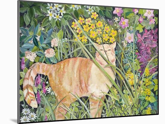 Cat and Long Grass, 1996-Hilary Jones-Mounted Giclee Print