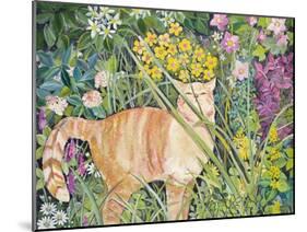 Cat and Long Grass, 1996-Hilary Jones-Mounted Giclee Print