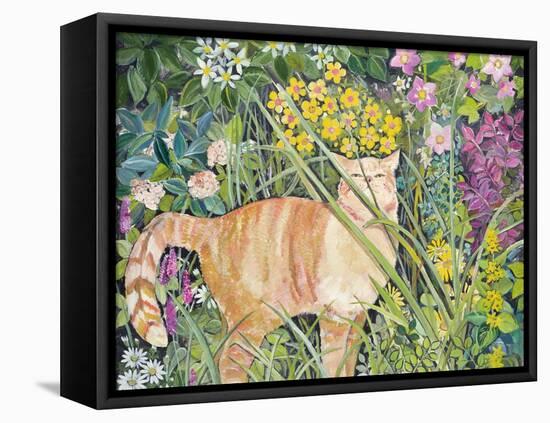 Cat and Long Grass, 1996-Hilary Jones-Framed Stretched Canvas