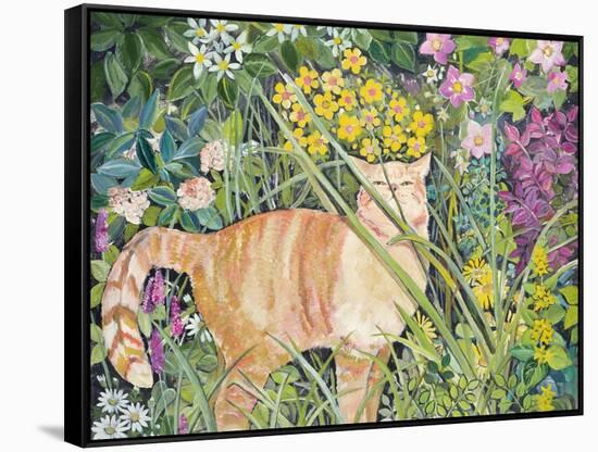 Cat and Long Grass, 1996-Hilary Jones-Framed Stretched Canvas