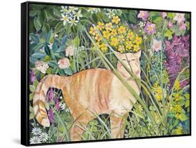 Cat and Long Grass, 1996-Hilary Jones-Framed Stretched Canvas